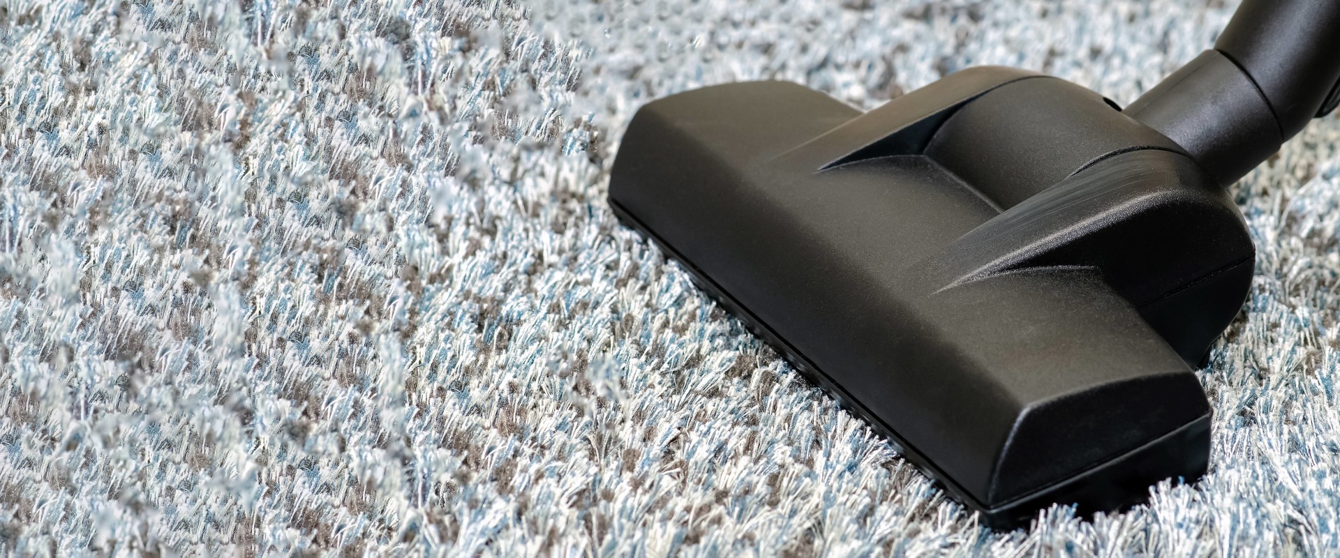 Why You Need Professional Carpet Cleaning Services In Greeley, CO, For