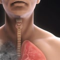 Do lungs self clean dust?