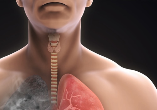 Do lungs self clean dust?
